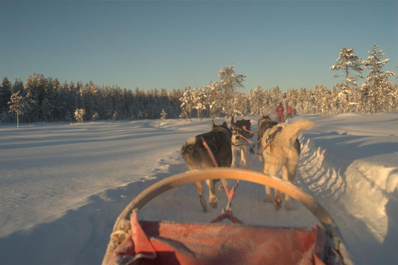 Arctic Panorama Lodge Uløybukta Eksteriør bilde