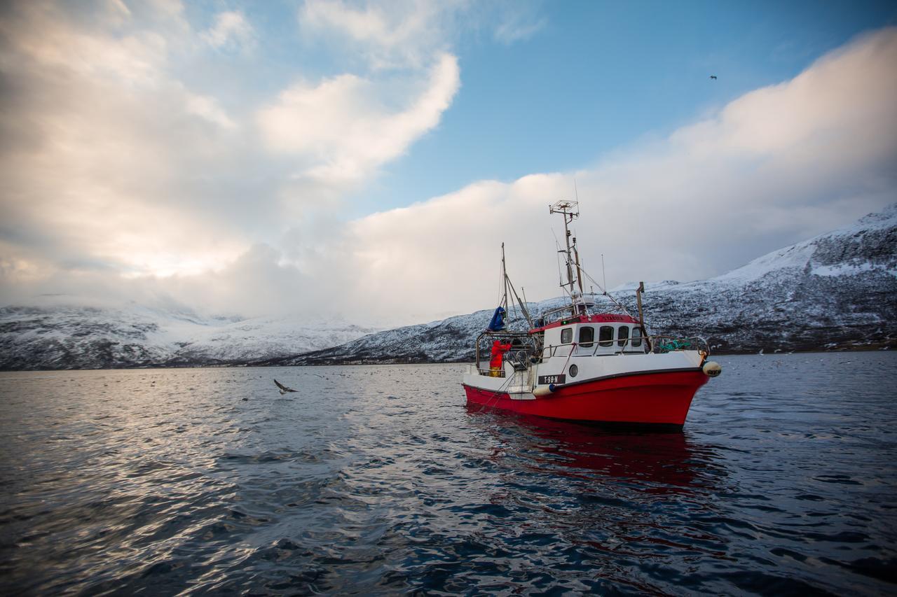 Arctic Panorama Lodge Uløybukta Eksteriør bilde