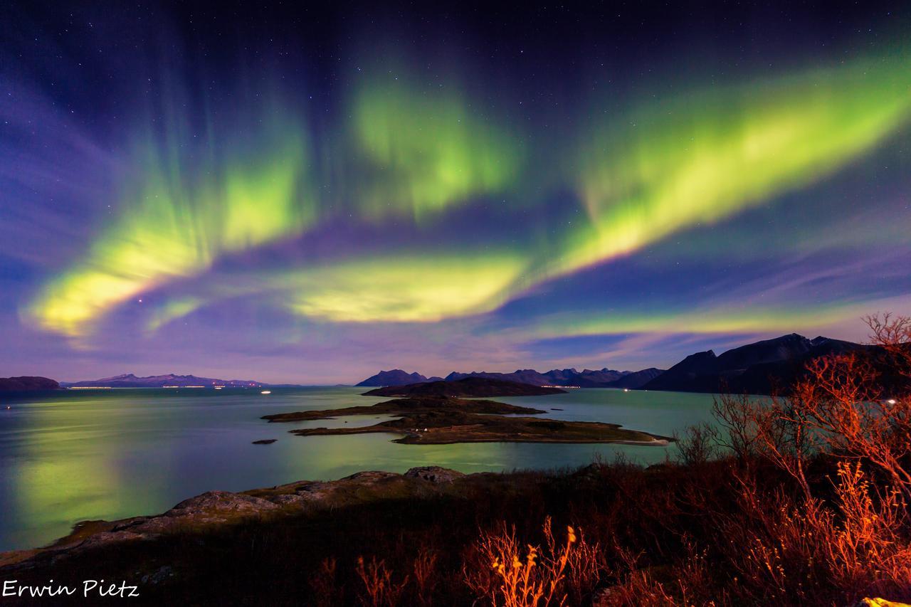 Arctic Panorama Lodge Uløybukta Eksteriør bilde