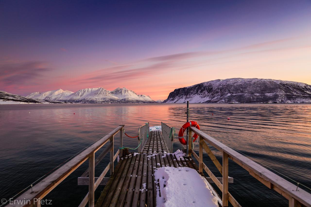 Arctic Panorama Lodge Uløybukta Eksteriør bilde